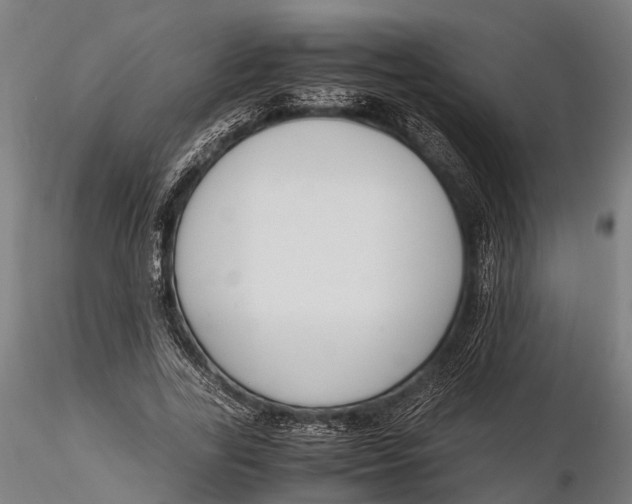 X0000115660731200912031332