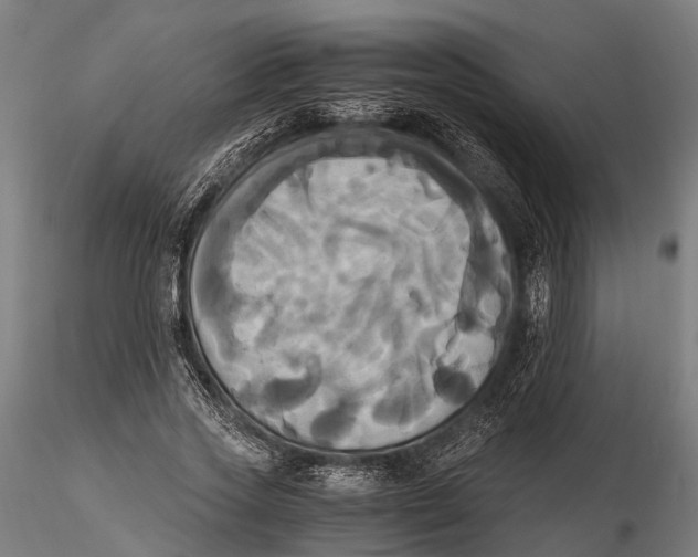 X0000115660733200912031332