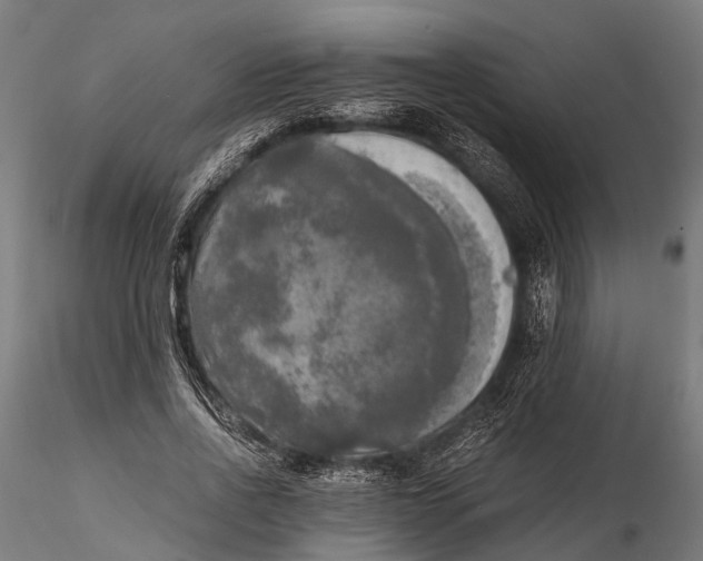 X0000115660734200912031332