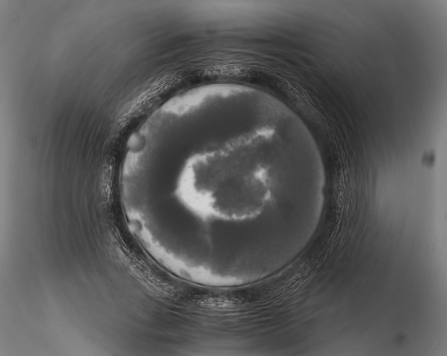 X0000115660735200912031332