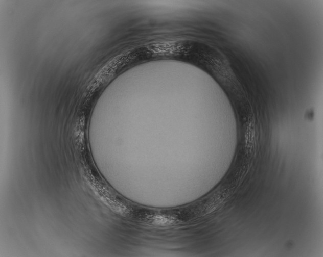 X0000115660737200912031332