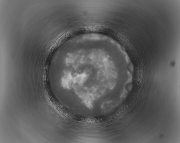 X0000115660738200912031332