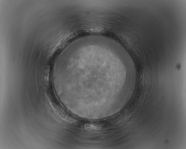 X0000115660739200912031332