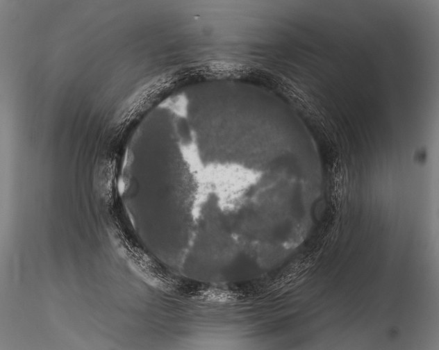 X0000115660742200912031332