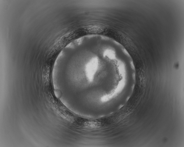 X0000115660745200912031332