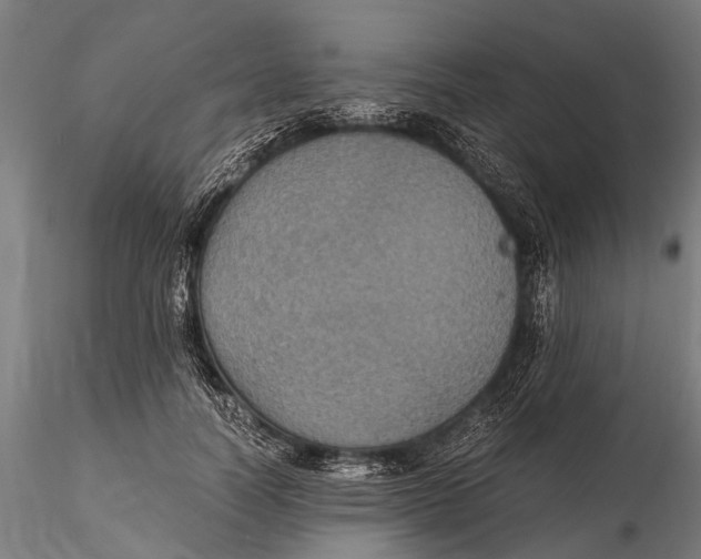 X0000115660746200912031332