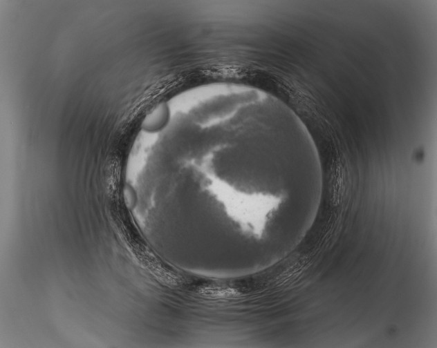 X0000115660747200912031332