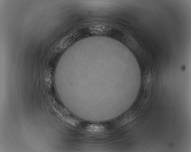 X0000115660749200912031332