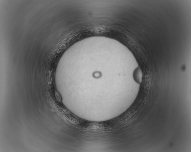 X0000115660750200912031332