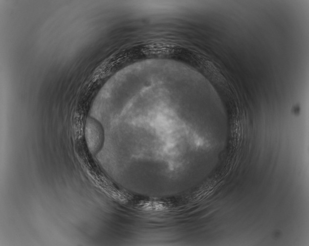 X0000115660751200912031332