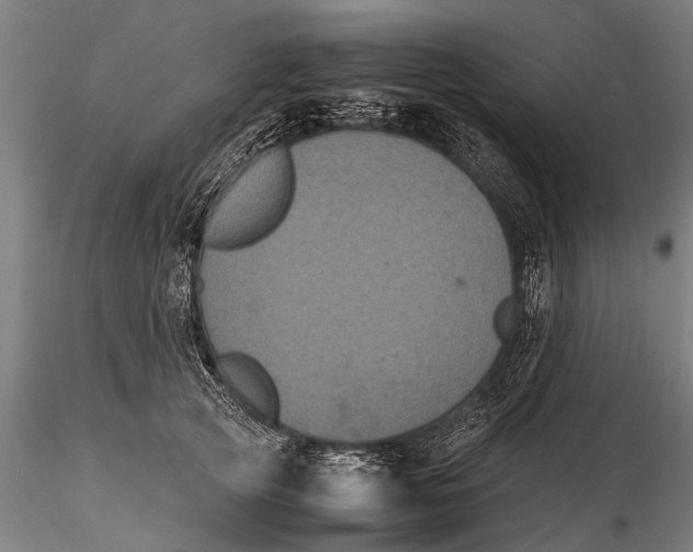 X0000115660753200912031332