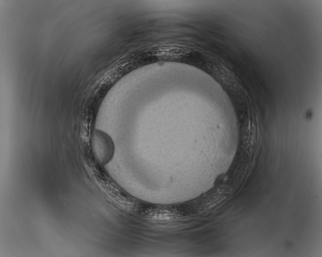 X0000115660755200912031332