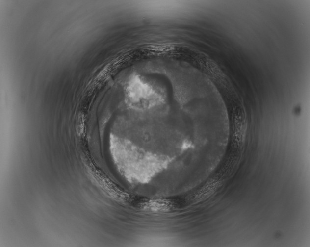 X0000115660758200912031332