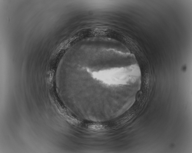 X0000115660759200912031332