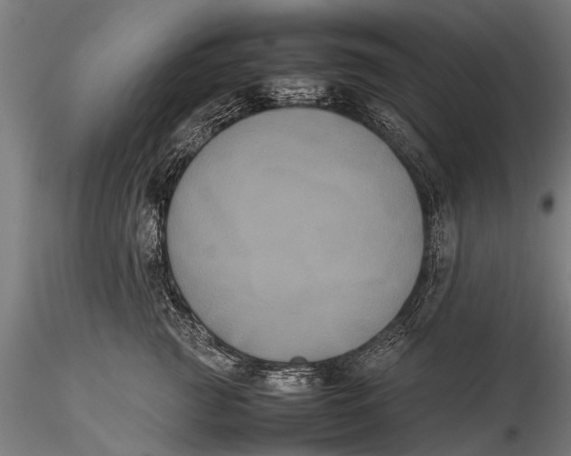 X0000115660761200912031332