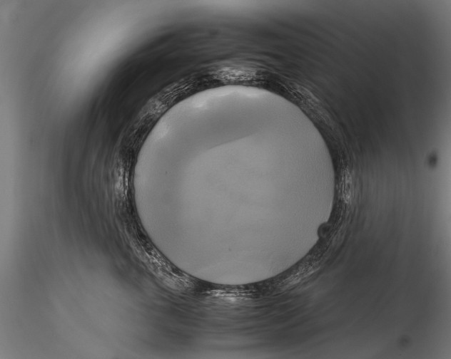 X0000115660763200912031332