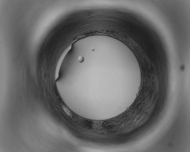 X0000115660766200912031332