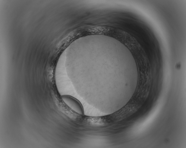 X0000115660767200912031332