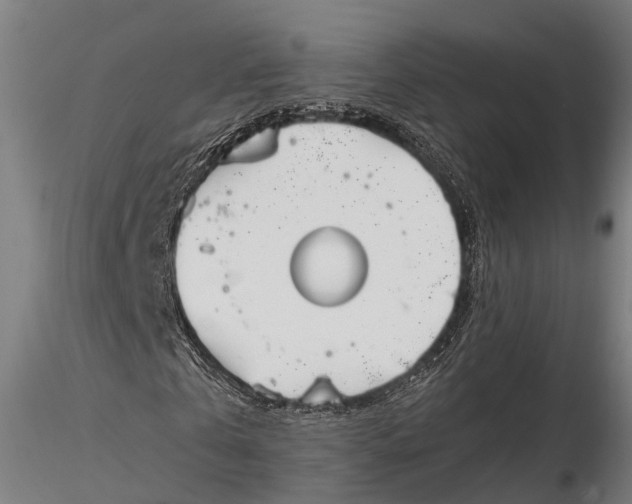 X0000115660769200912031331