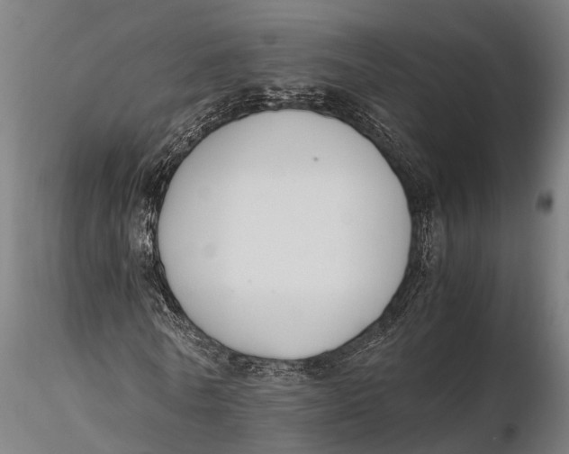 X0000115660770200912031331