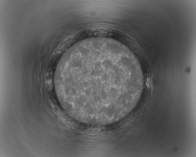 X0000115660771200912031331