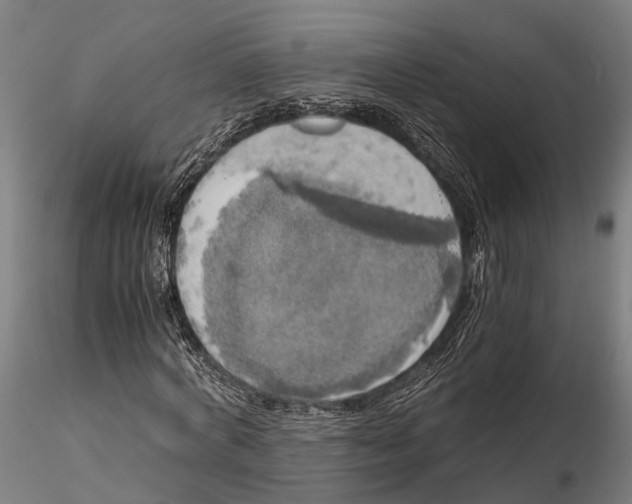 X0000115660772200912031331