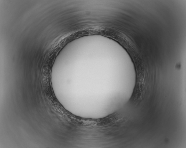 X0000115660773200912031331