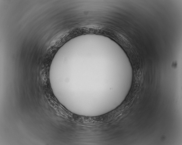 X0000115660774200912031331