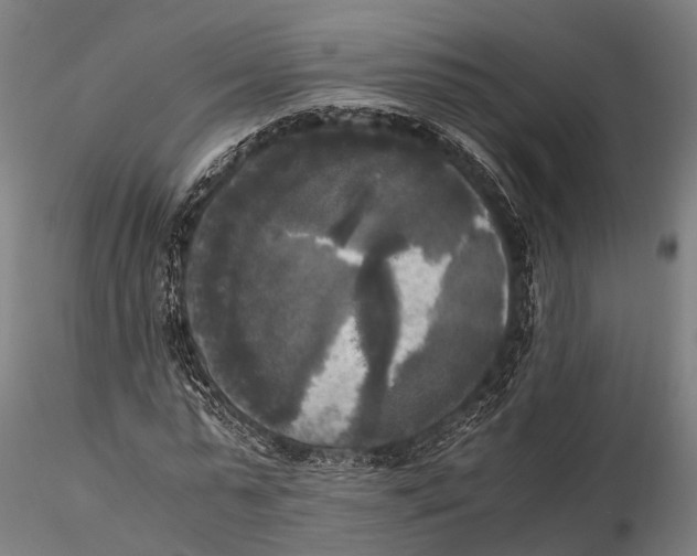 X0000115660775200912031331