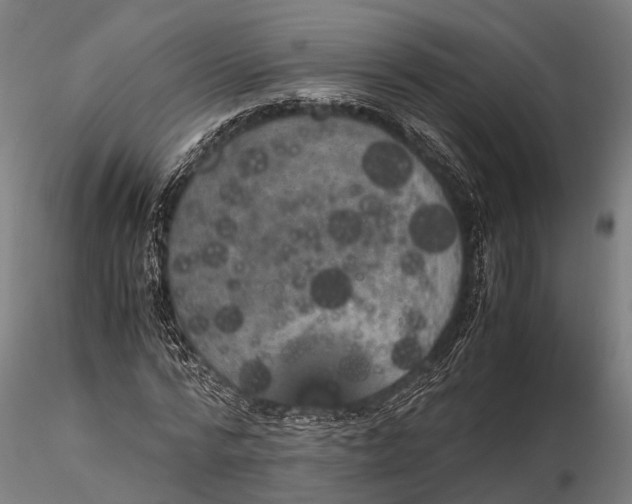 X0000115660776200912031331