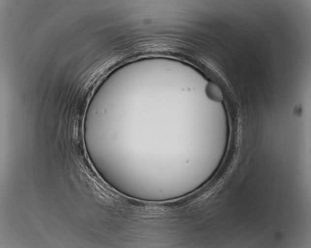 X0000115660777200912031331