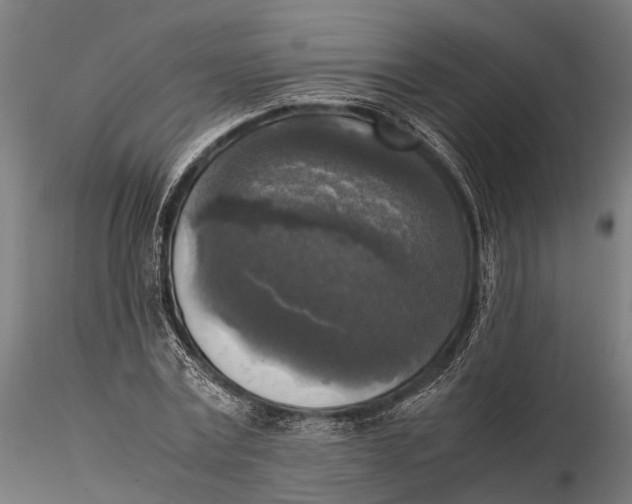 X0000115660779200912031331