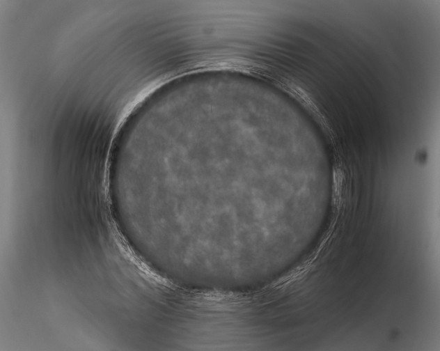 X0000115660780200912031331