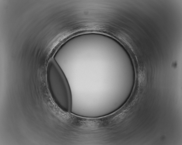 X0000115660781200912031331