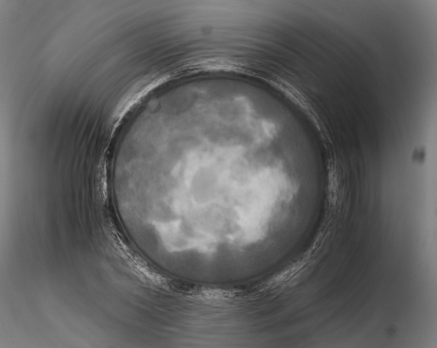 X0000115660782200912031331