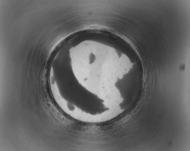 X0000115660783200912031331