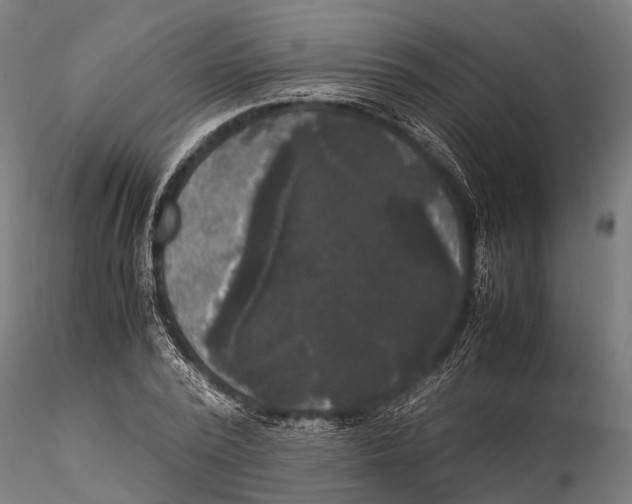 X0000115660784200912031331