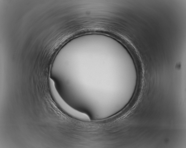 X0000115660785200912031331