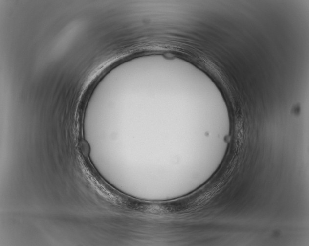 X0000115660787200912031331