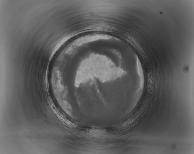 X0000115660788200912031331