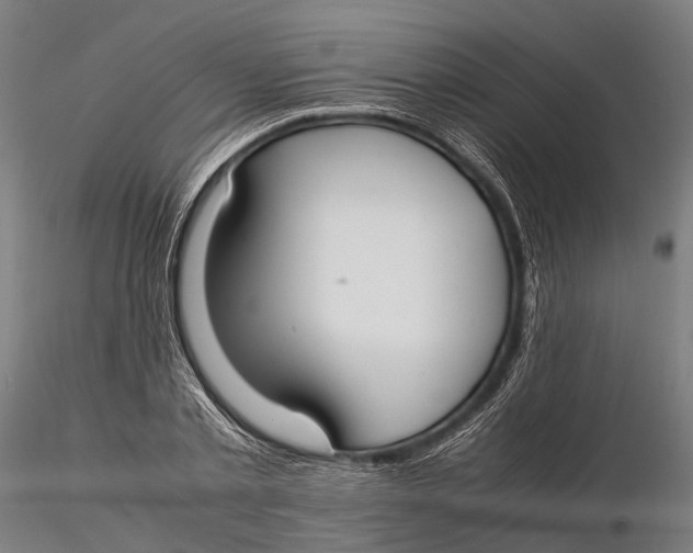 X0000115660789200912031331