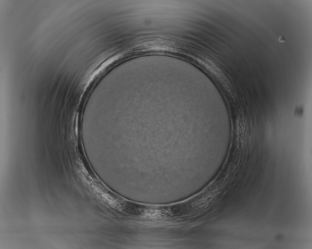 X0000115660790200912031331