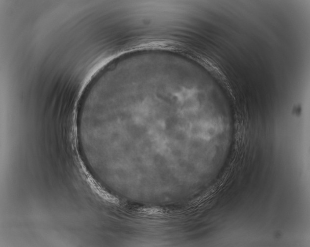 X0000115660792200912031331