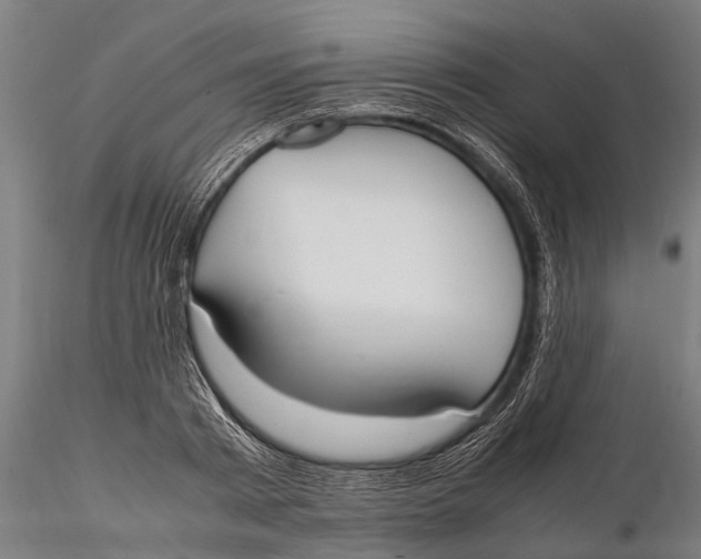 X0000115660793200912031331