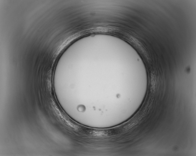 X0000115660794200912031331