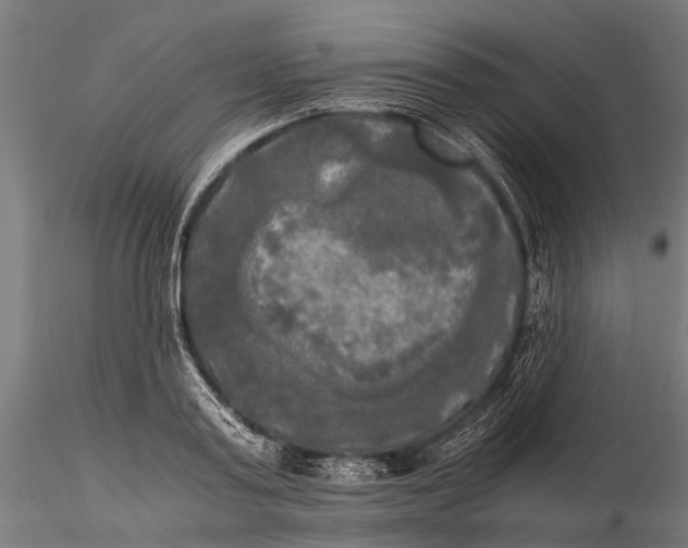 X0000115660795200912031331