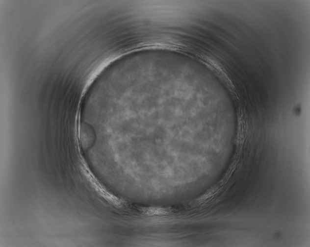 X0000115660796200912031331