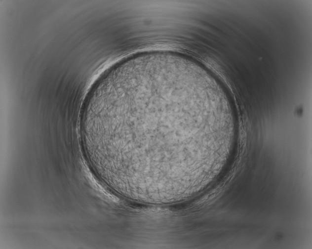 X0000115660797200912031331