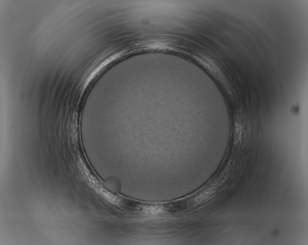 X0000115660798200912031331