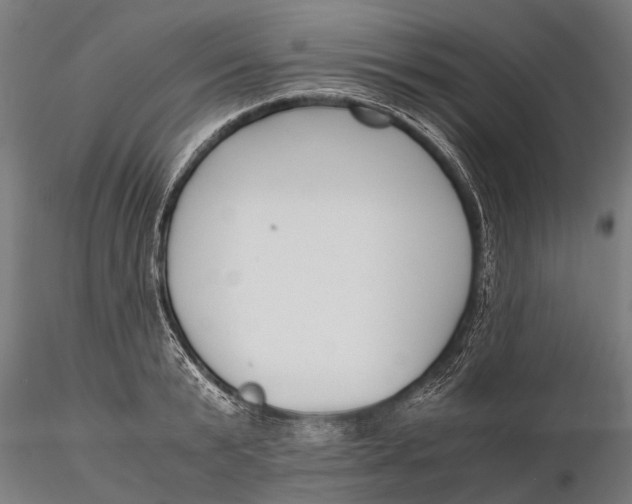 X0000115660799200912031331